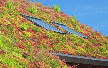 Peaton living roof systems