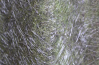 Peaton fibreglass roof work