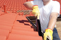 Peaton roof cleaners